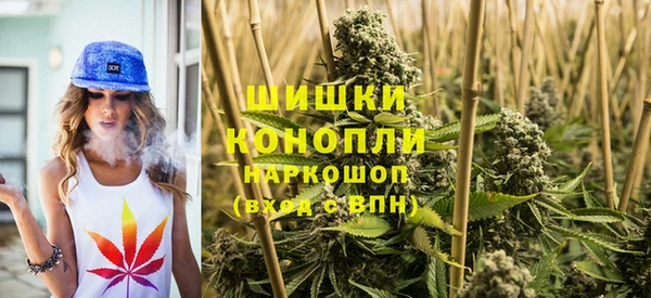 стаф Надым