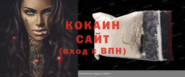 дживик Белокуриха
