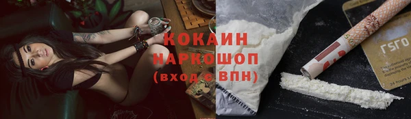 дживик Белокуриха