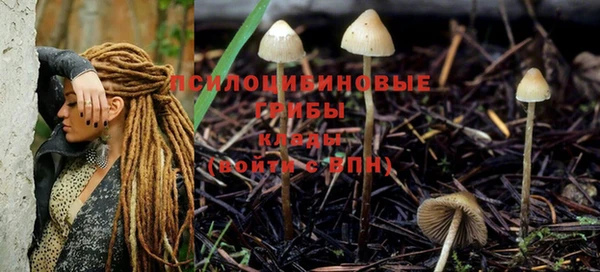 дживик Белокуриха