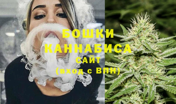 дживик Белокуриха