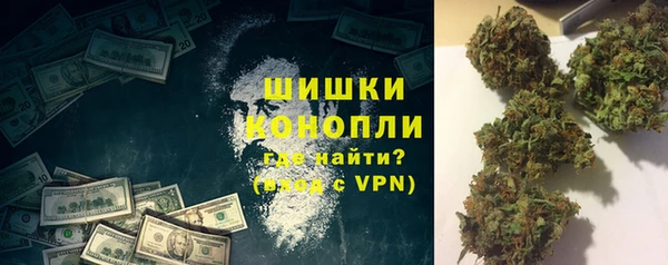 дживик Белокуриха