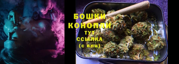 дживик Белокуриха