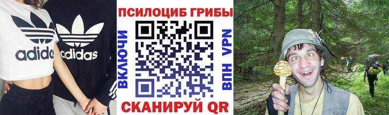 Галлюциногенные грибы Magic Shrooms  Купить где  Валуйки 